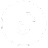 TikTok profile Piki & Co